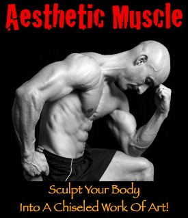 Aesthetic Muscle Workout Plan By Scott Tousignant - eBook PDF Program